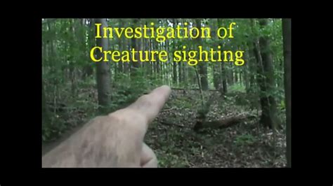 Ohio Grassman Legend Bigfoot Stalking Us Youtube