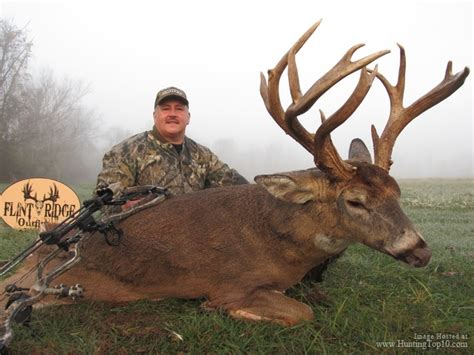 Archery Deer Hunt At