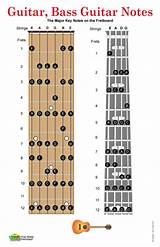 Acoustic Bass Guitar Strings Comparison Photos