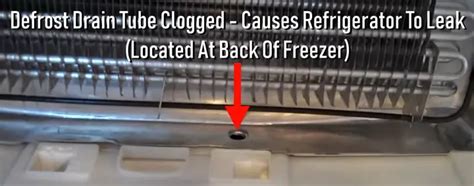 Kenmore Bottom Freezer Refrigerator Leaking Water On Floor