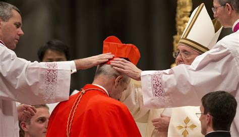 ¿qué Es Un Cardenal Radio Seminario