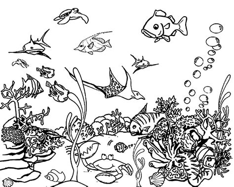 Pages de coloriage océaniques imprimables gratuites pour les enfants