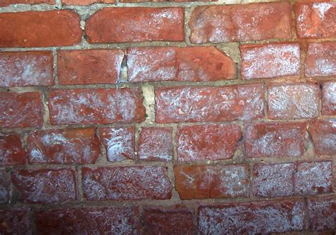 Tips for replacing spalling bricks | Pro Construction Guide