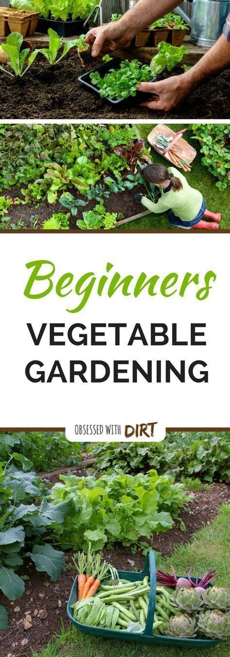 A Man Is Gardening In His Vegetable Garden With The Words Beginners