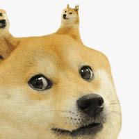Discover the magic of the internet at imgur, a community powered entertainment destination. Dogecoin GIFs - Find & Share on GIPHY
