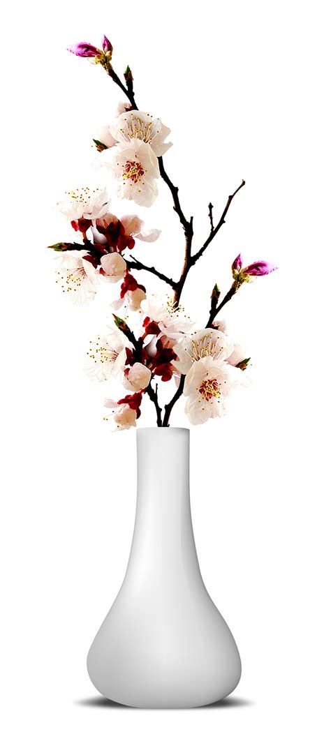 Flower Vase PNG Transparent Image | PNG Mart gambar png