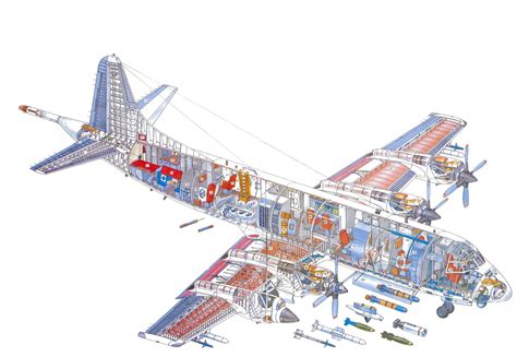 Lockheed Electra Cutaway