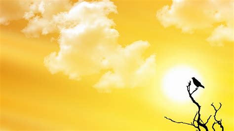 Free Download Summer Yellow Sky Nature Hd Wallpaper Picture Free Download 1920x1080 For Your