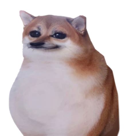 Le Baby Cheebs Has Arrived Rdogelore Ironic Doge Memes Know