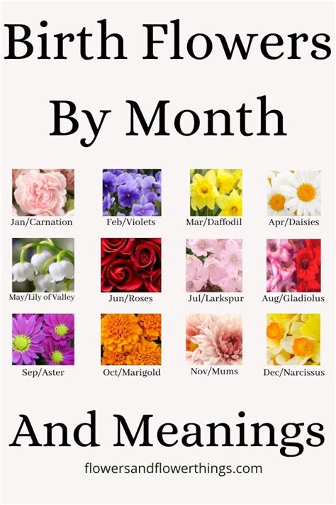 Original Birth Month Flowers Birthday Flowers By Month Proflowers