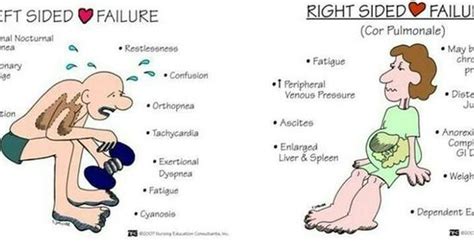 Manifestations Of Left Sided Heart Failure