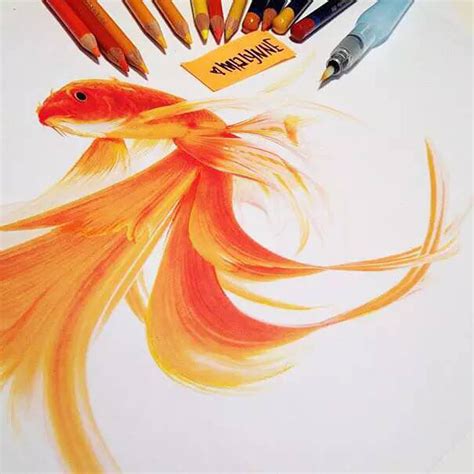 Color Pencils 2d Drawing Realistic Animal Drawings