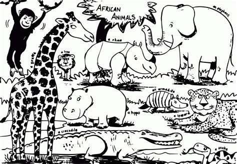 African Animals Coloring Page Coloring Home