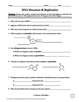 Write a short description of each. DNA Structure and Replication Worksheet by A-Thom-ic ...