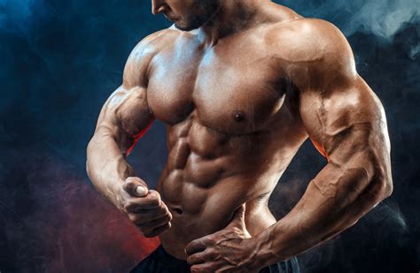 An Overview Into The World Of Bodybuilding Steroids Steroids