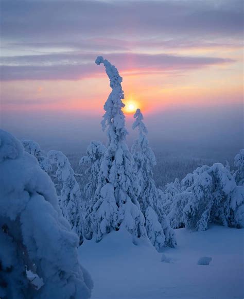 A Cold Sunset In The Arctic Lapland 🇫🇮 ️ Finland Photo By Niiloi