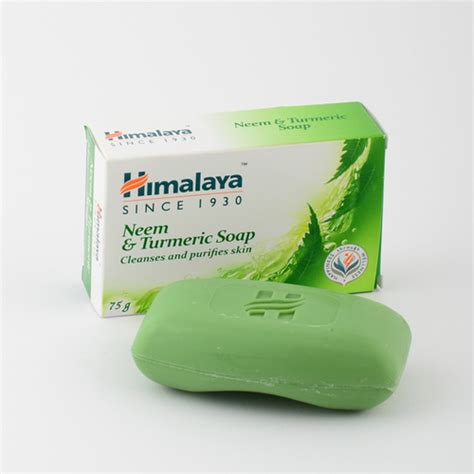 Himalaya Herbals Protecting Neem And Turmeric Soap 75Gm At Best Price