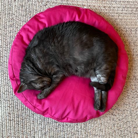 Fluffy Cat Bed Pillow Catsessentials