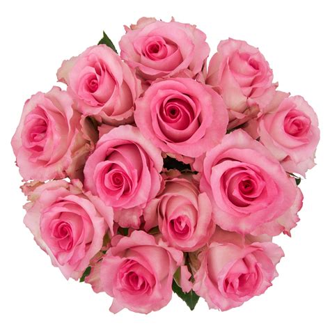 Fresh Cut One Dozen Roses Bouquet 12 Stems Colors Vary