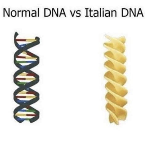 Normal Dna Vs Italian Dna Meme By Maddythemadcow Memedroid