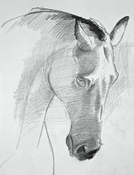 Add shadows to your drawing. Draw a Horse's Face in 3 Steps | Horse drawings, Realistic ...