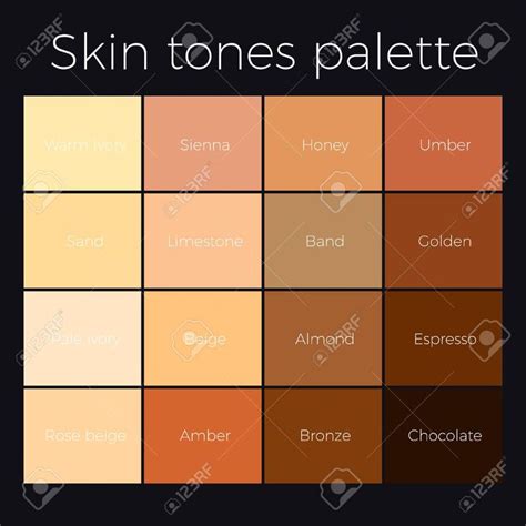 Skin Tones Palette Vector Skin Color Chart Stock Vector