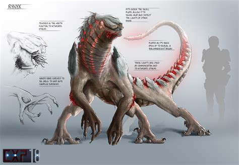 Rynyx Creature Concept Sheet This Is A Photoshop Render I Did About A