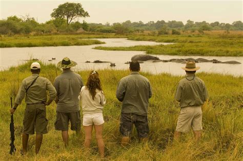 Wildlife Safaris In Botswana Expert Africa