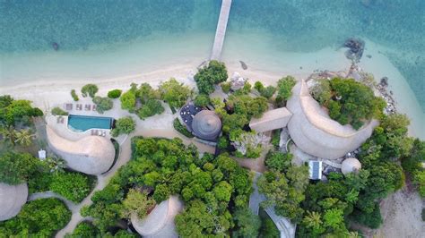 What is cempedak in english? Home - Cempedak Island