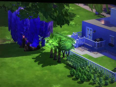 Heres A Picture Of My Sims Garden That Has Worked Very Hard On It She