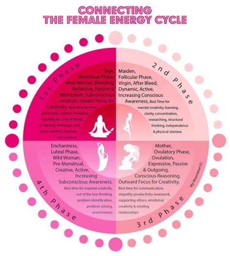 menstrual cycle symptoms chart