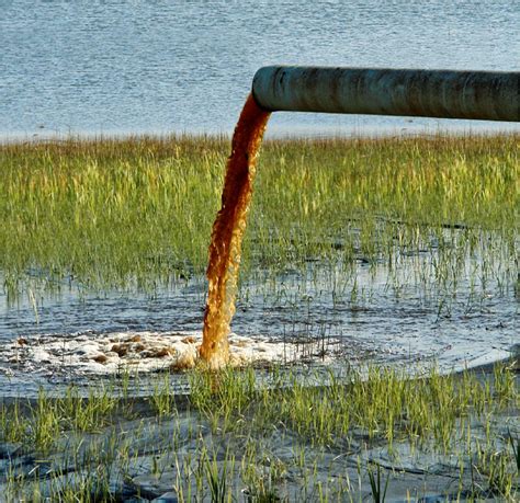 Água saudável 24 horas Pesquisa revela que água contaminada ainda é um