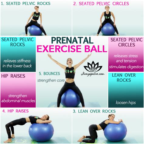 Yoga Ball Pregnancy Exercises Jivayogalive