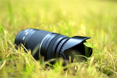 Free Images Nature Grass Lawn Camera Photography Photographer