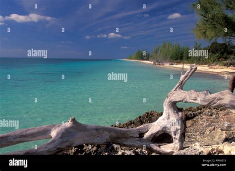 Grand Bahama Island Stock Photo Alamy