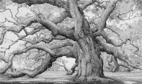 Works Of Charles Brindley Angel Oak Trees Oak Tree Tattoo Angel Oak