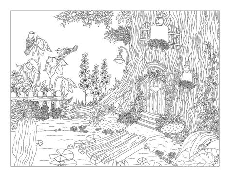 Coloring Book Enchanted Forest Adultplm
