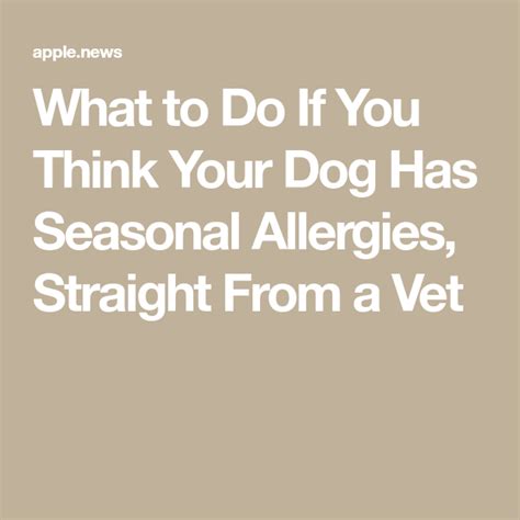 What To Do If You Think Your Dog Has Seasonal Allergies Straight From