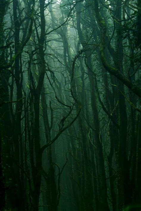 Emo aesthetic wallpapers posted by christopher tremblay. Dark Green Aesthetic in 2020 | Green aesthetic, Dark green ...