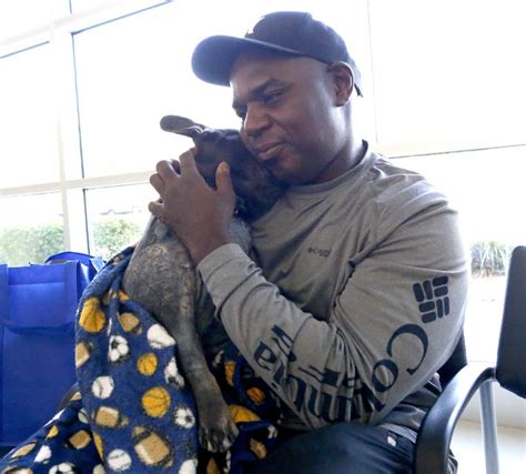 Check spelling or type a new query. Christmas miracle for Florida dog whose heart stopped ...