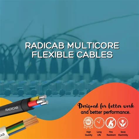 Pvc Radicab Multicore Flexible Cables At Best Price In Jaipur Radicab