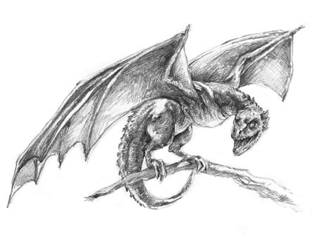 Realistic Dragon Drawing At Explore Collection Of