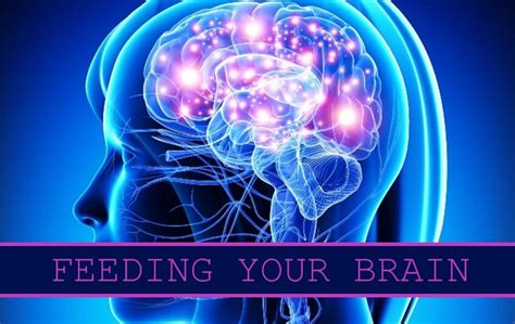 Feeding Your Brain