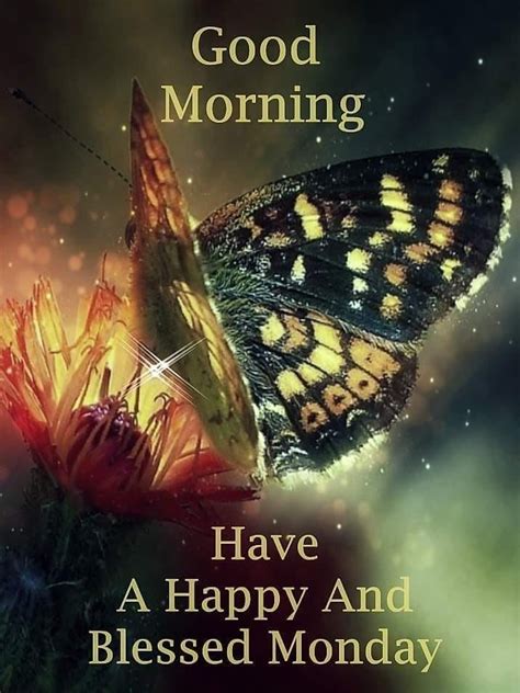 Pretty Butterfly Good Morning Have A Happy And Blessed Monday