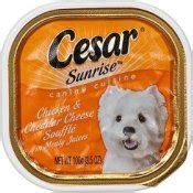 Cesar dry dog food ingredients. Dog training: Dog used in cesar dog food