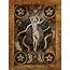 The Star Tarot Card Art  Painting By French School