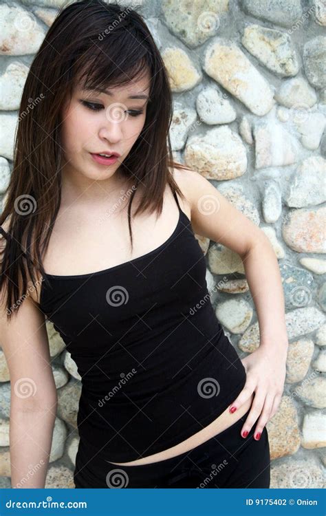亚裔美丽的黑人女孩 库存照片 图片 包括有 高雅 小卵石 头发 表面 方式 设计 查找 表达式 9175402