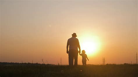 Silhouette Of Grandfather Grandson Playing Stock Footage Sbv