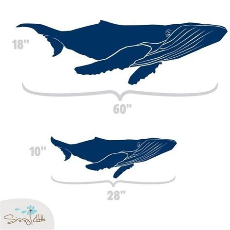 Humpback Whales Set Of Vinyl Wall Decals Etsy Whale Wall Decals