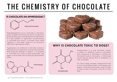 Infographics Of Chemical Compounds In Foods Business Insider